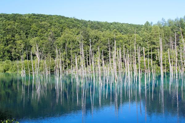 青い池