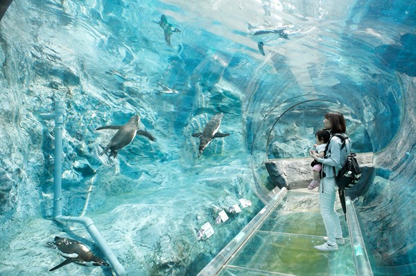 旭川市旭山動物園