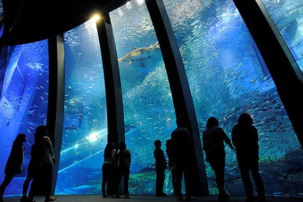 神奈川グルメを満喫 絶対外せない地元グルメ ぐるなび