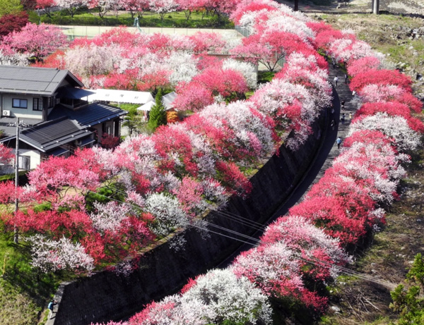 長野グルメを満喫 絶対外せない地元グルメ ぐるなび