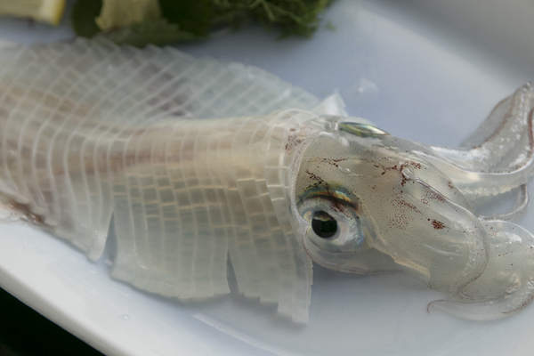 佐賀グルメを満喫 絶対外せない地元グルメ ぐるなび