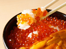 ウニ・イクラ丼